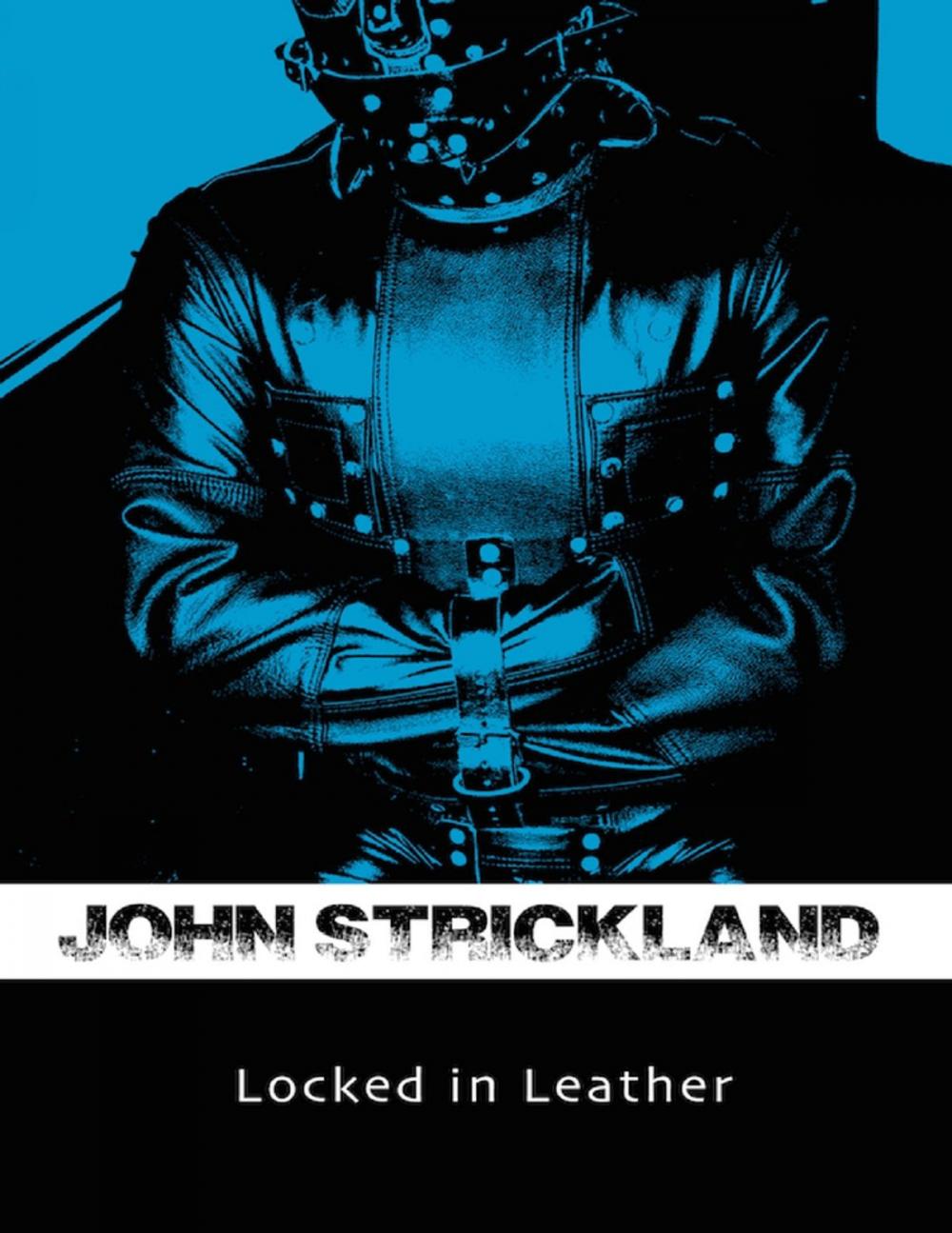 Big bigCover of Locked In Leather