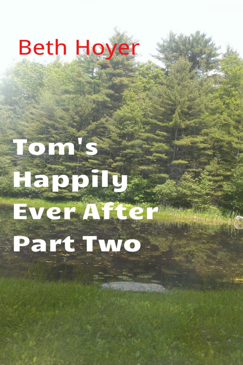 Big bigCover of Tom's Happily Ever After Part Two