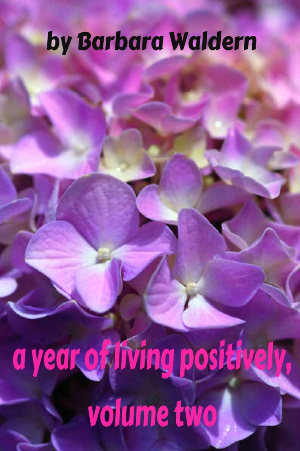 Big bigCover of A Year of Living Positively-Volume 2