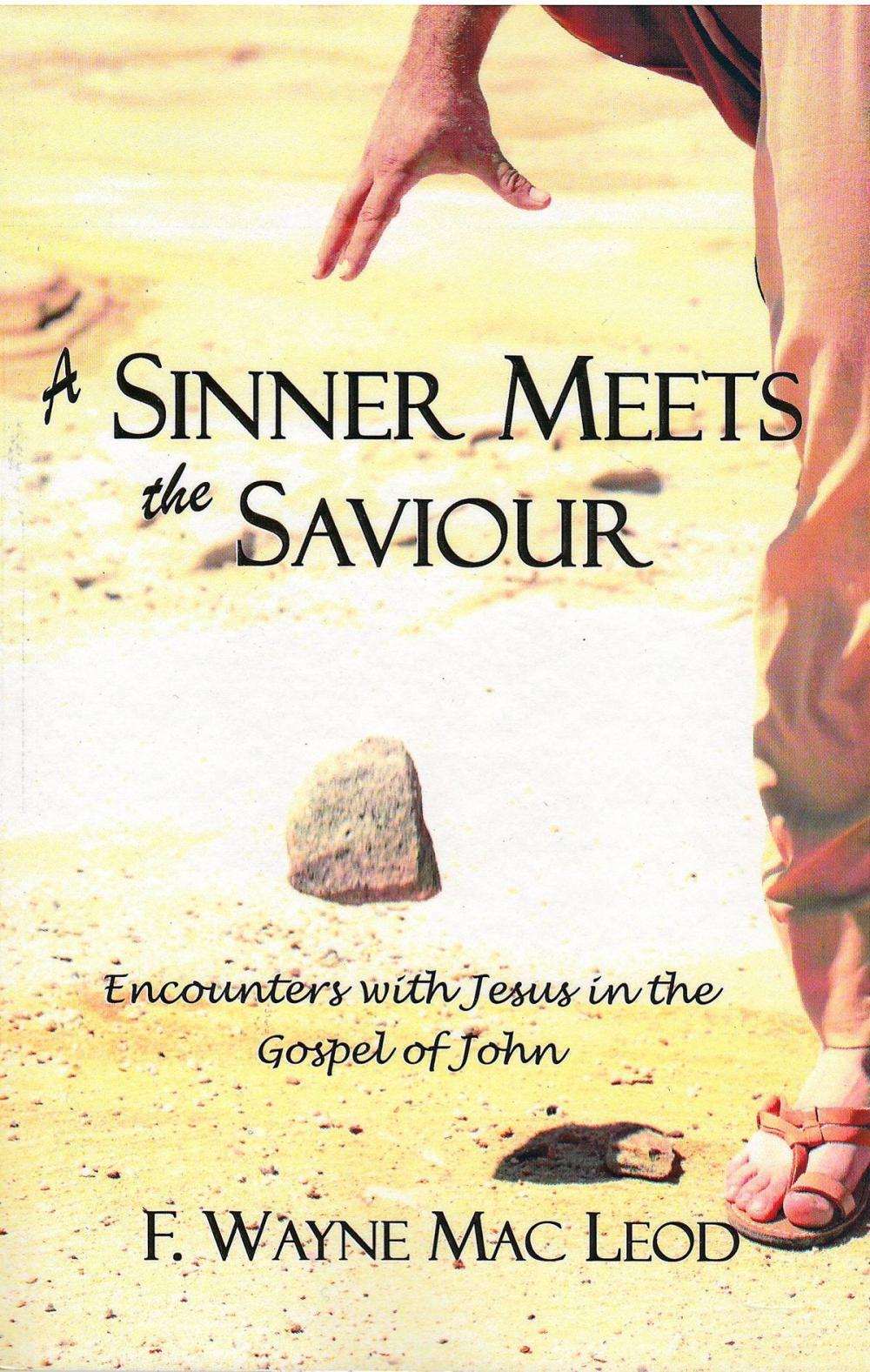 Big bigCover of A Sinner Meets the Saviour