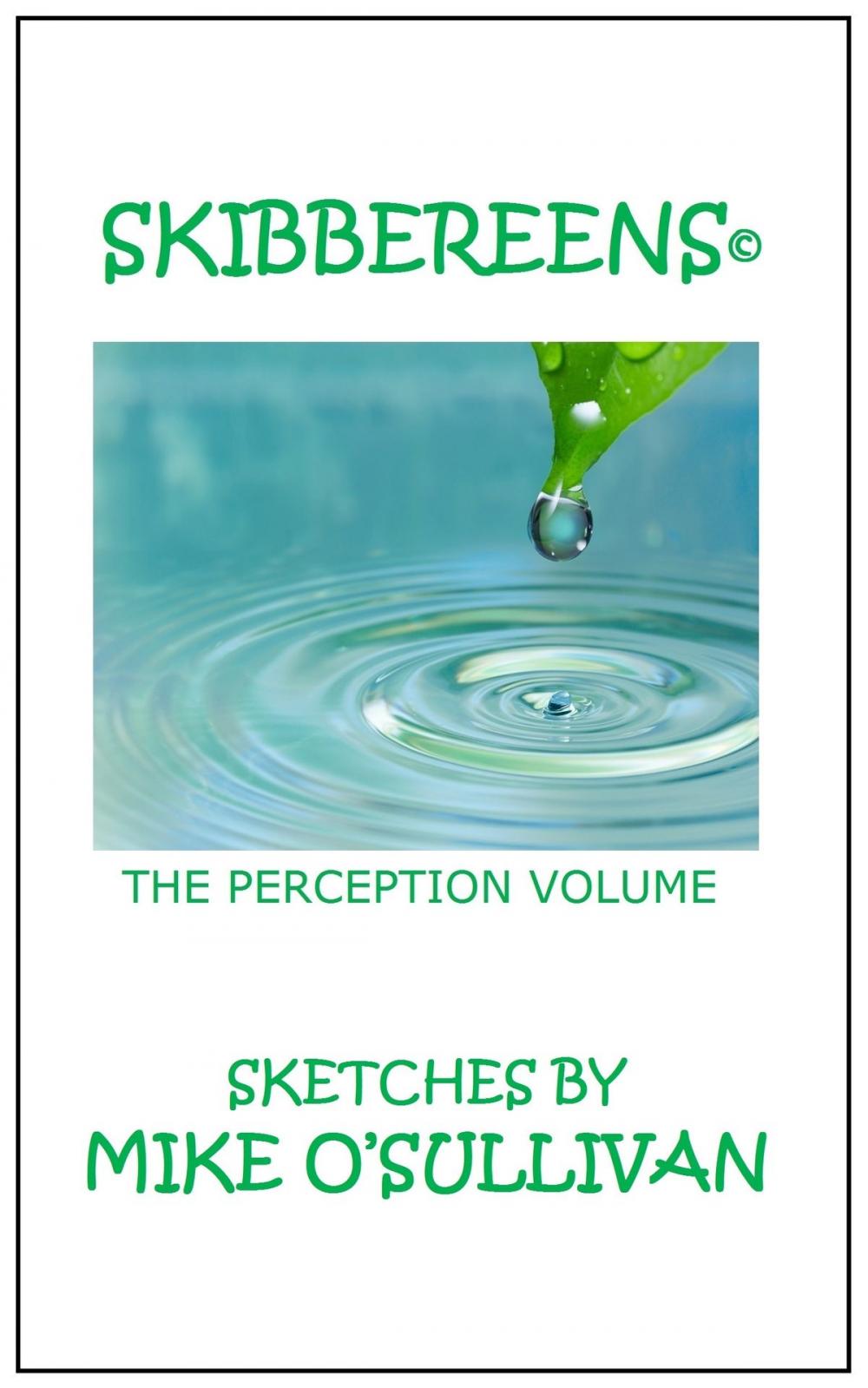 Big bigCover of Skibbereens: The Perception Volume