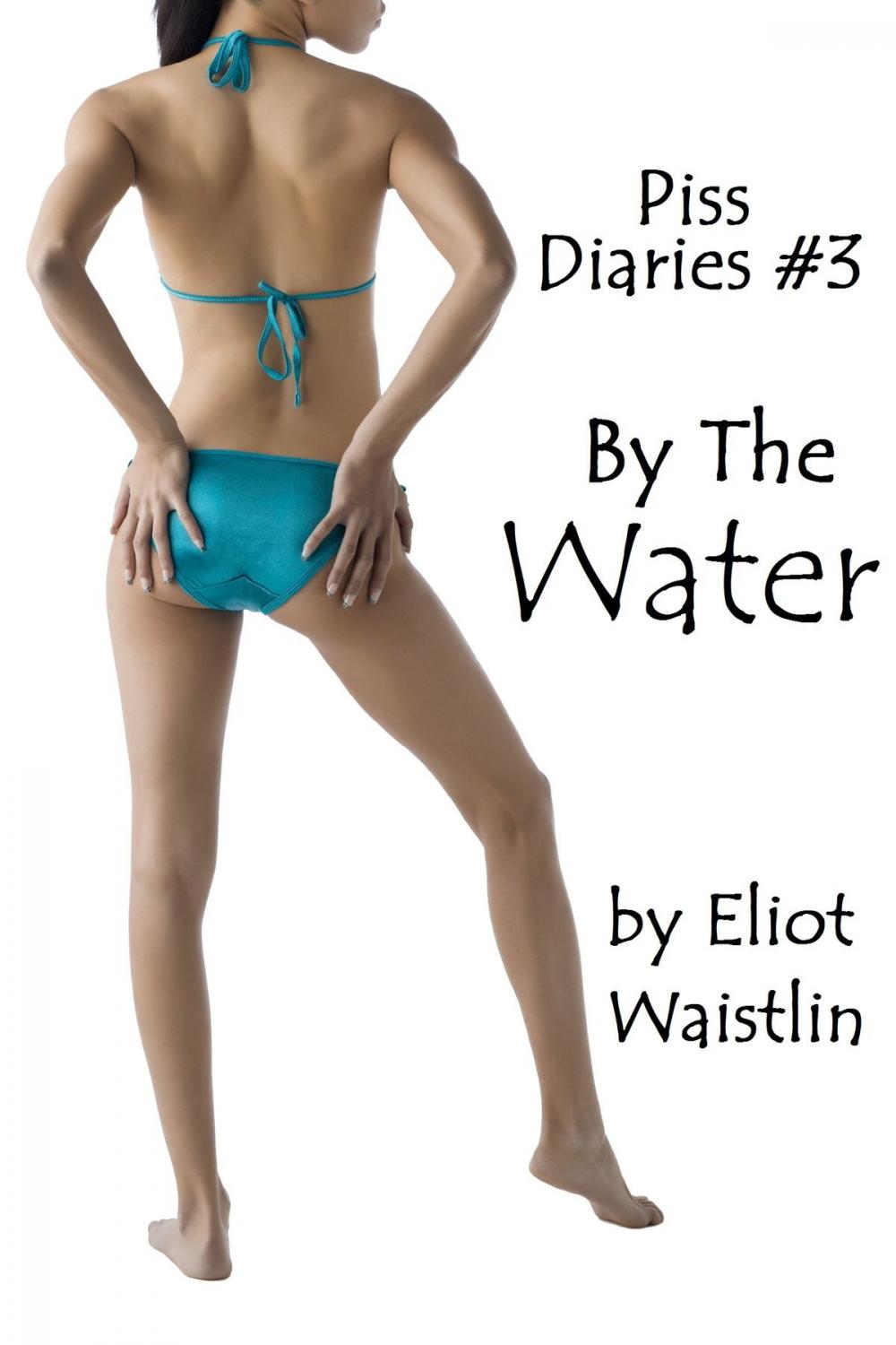 Big bigCover of Piss Diaries #3: By The Water