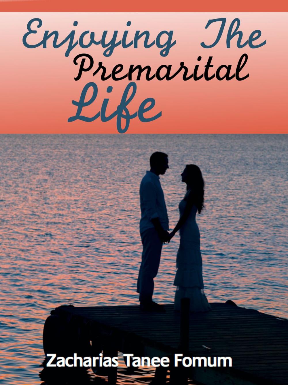 Big bigCover of Enjoying the Premarital Life