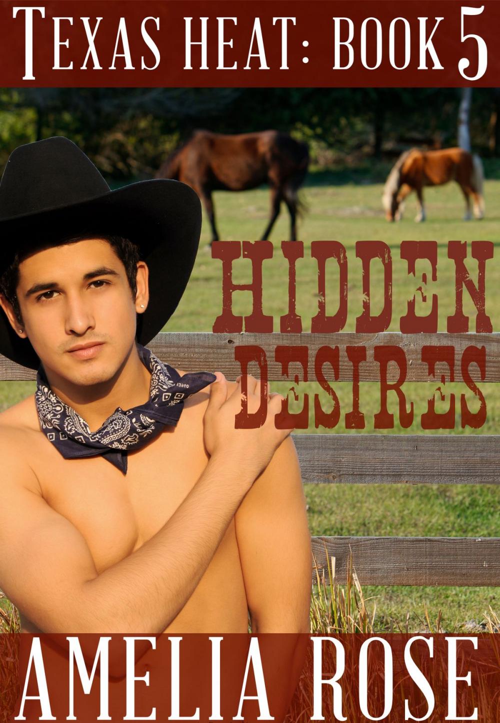 Big bigCover of Hidden Desires (Texas Heat: Book 5)