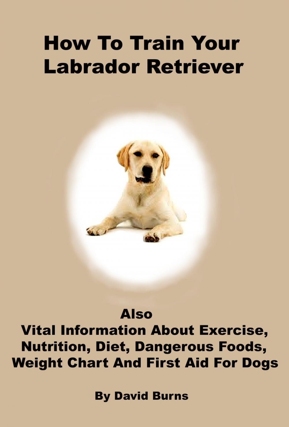 Big bigCover of How To Train Your Labrador Retriever