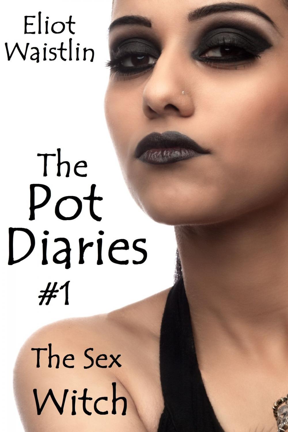 Big bigCover of The Pot Diaries #1: The Sex Witch