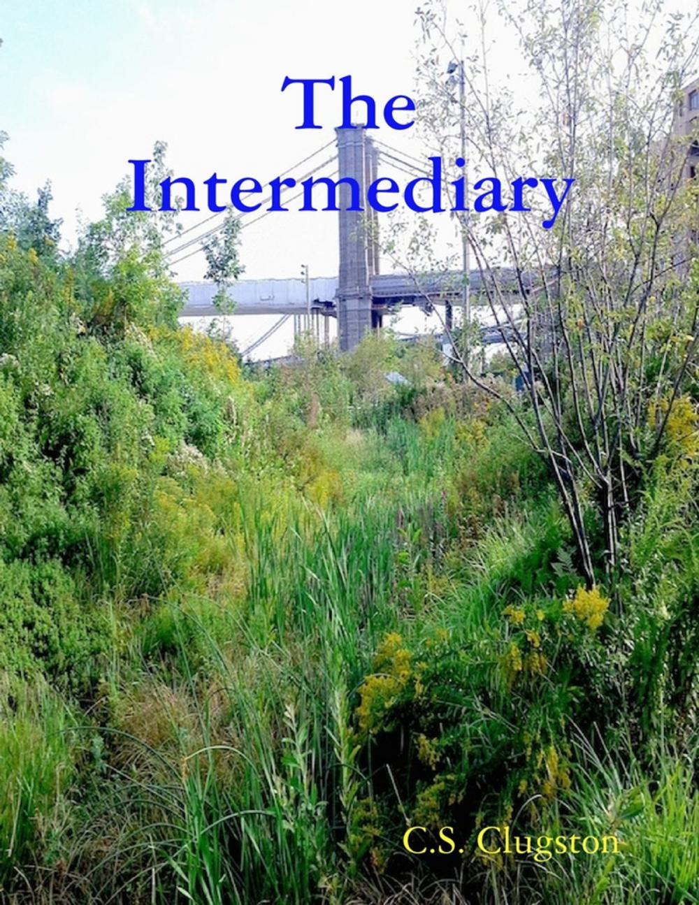 Big bigCover of The Intermediary