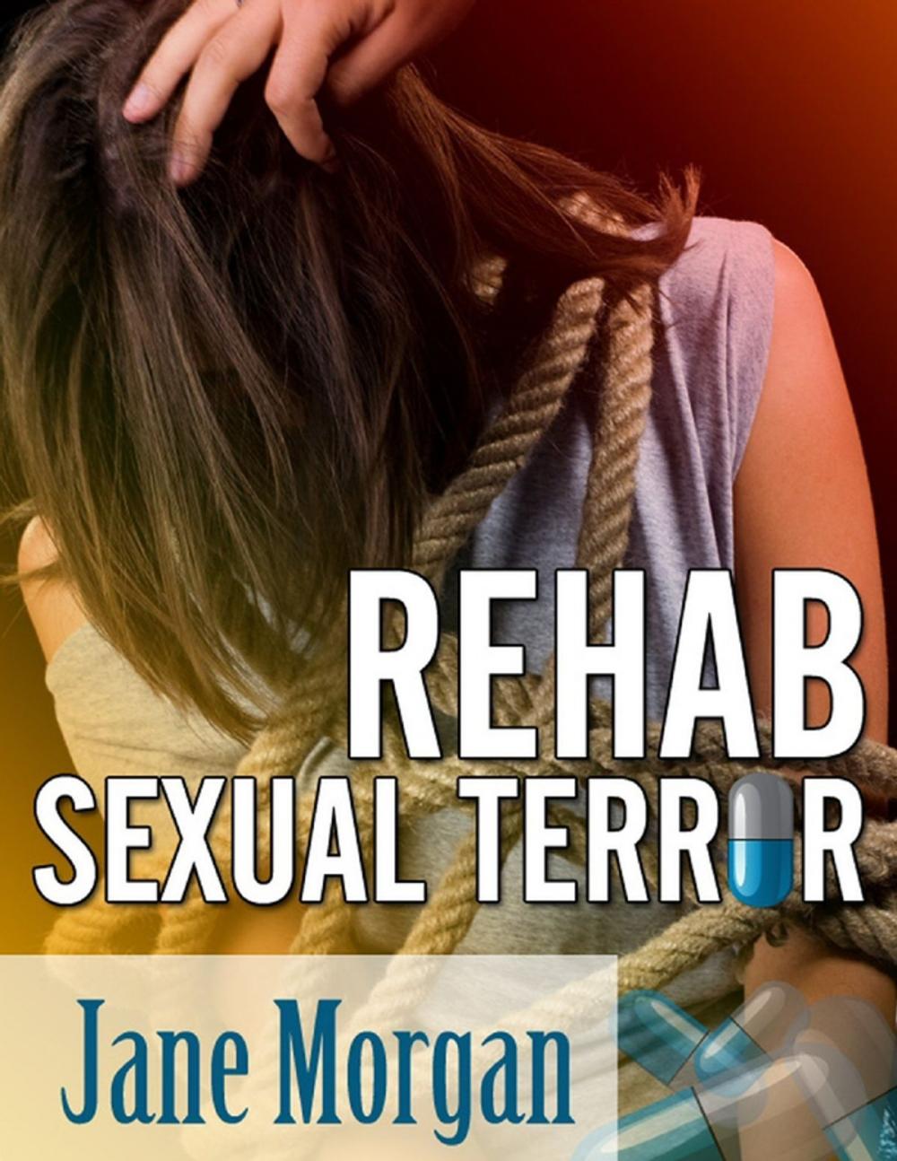 Big bigCover of Rehab Sexual Terror (Bondage Erotica)