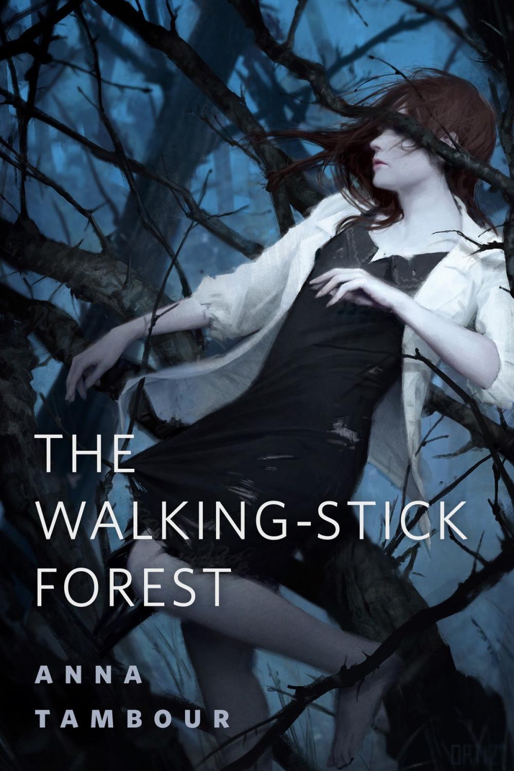 Big bigCover of The Walking-stick Forest
