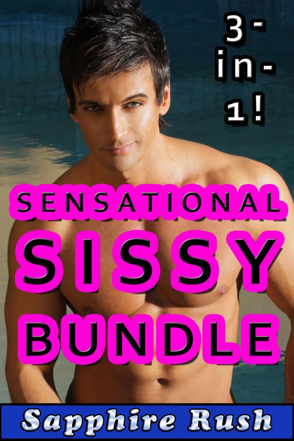 Big bigCover of Sensational Sissy Bundle (gay feminization erotica)
