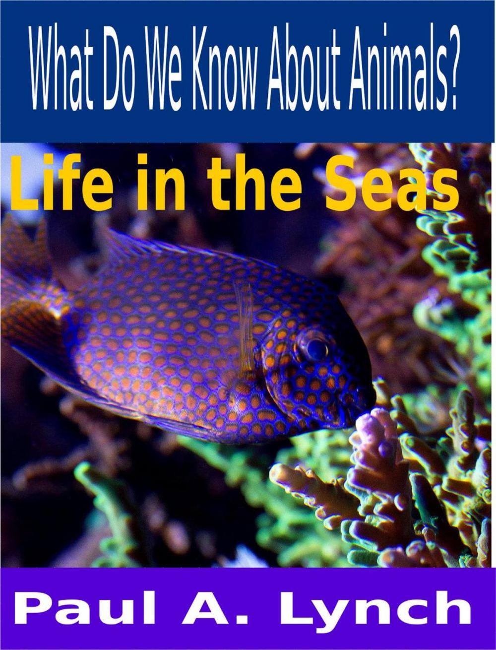 Big bigCover of What Do We Know About Animals? Life in the Seas
