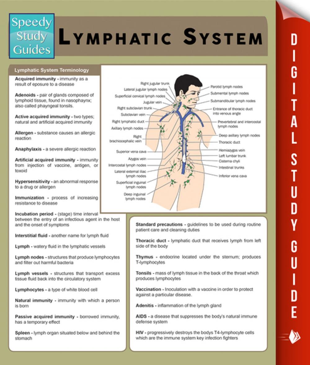 Big bigCover of Lymphatic System (Speedy Study Guides)