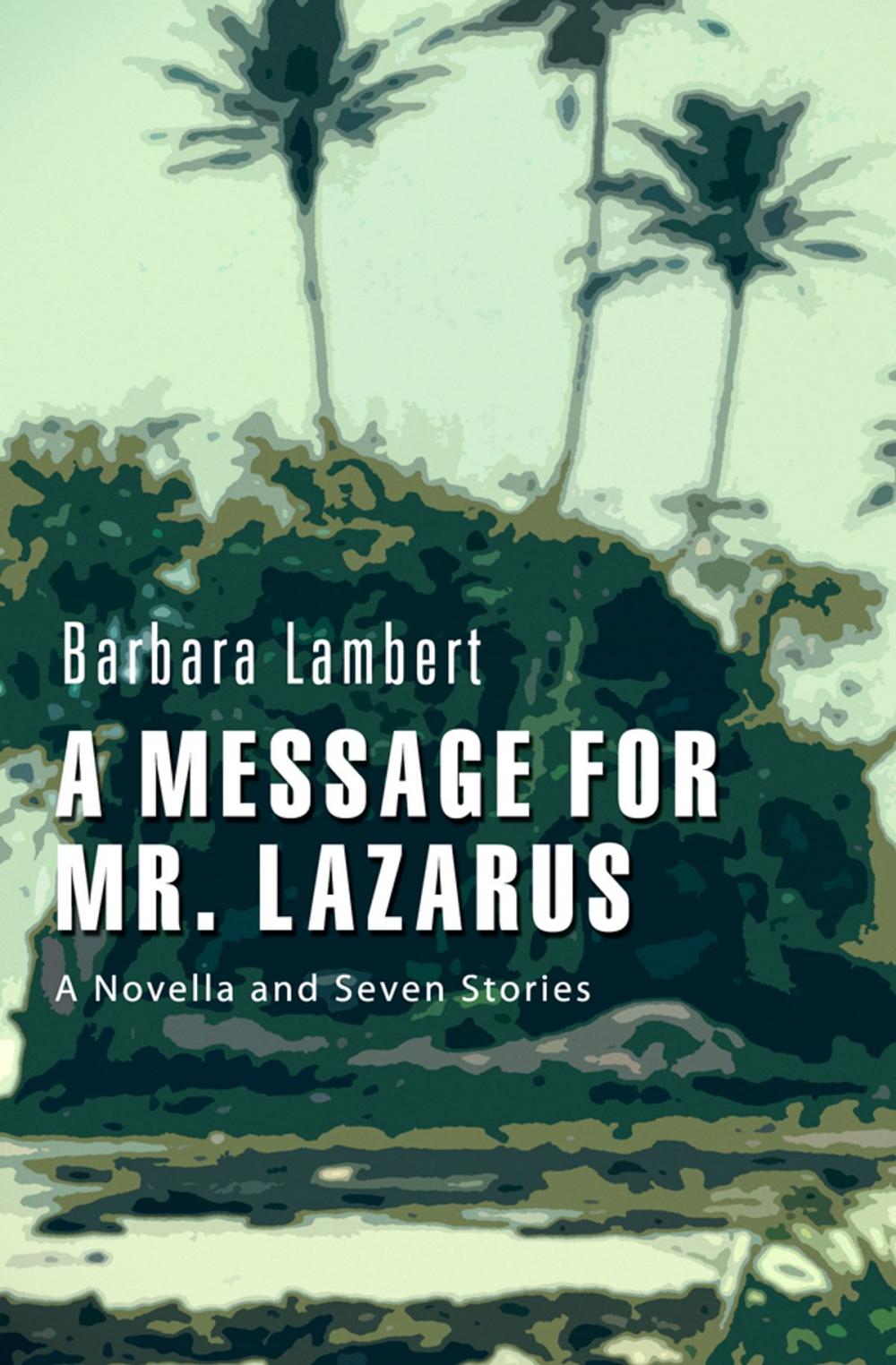Big bigCover of A Message for Mr. Lazarus