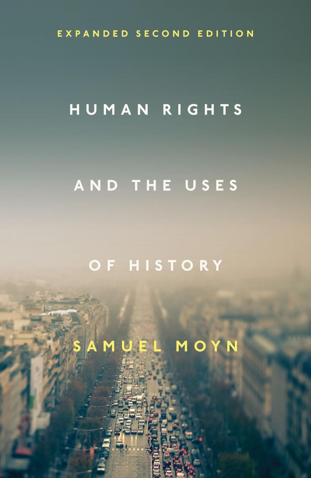 Big bigCover of Human Rights and the Uses of History
