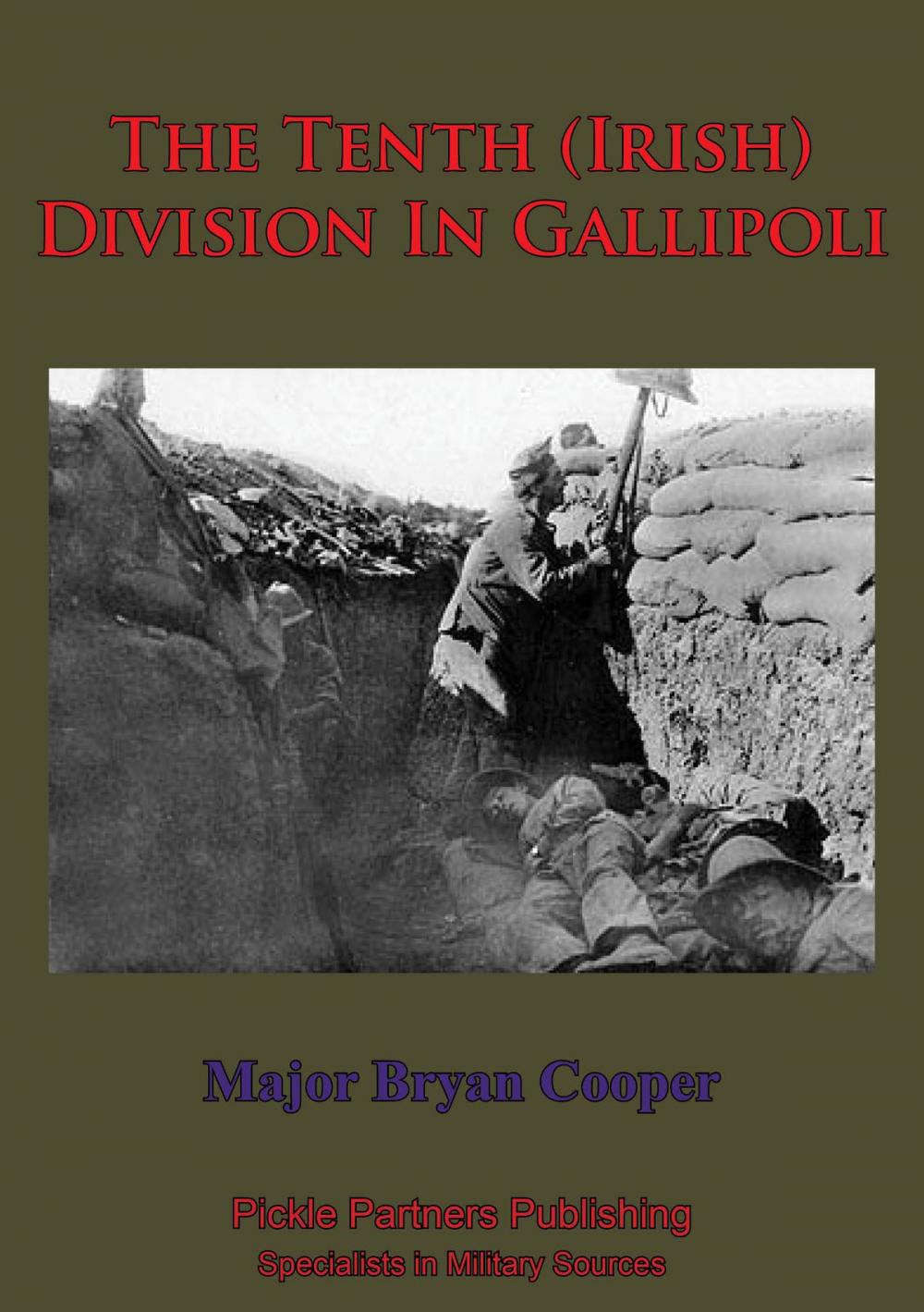 Big bigCover of The Tenth (Irish) Division In Gallipoli