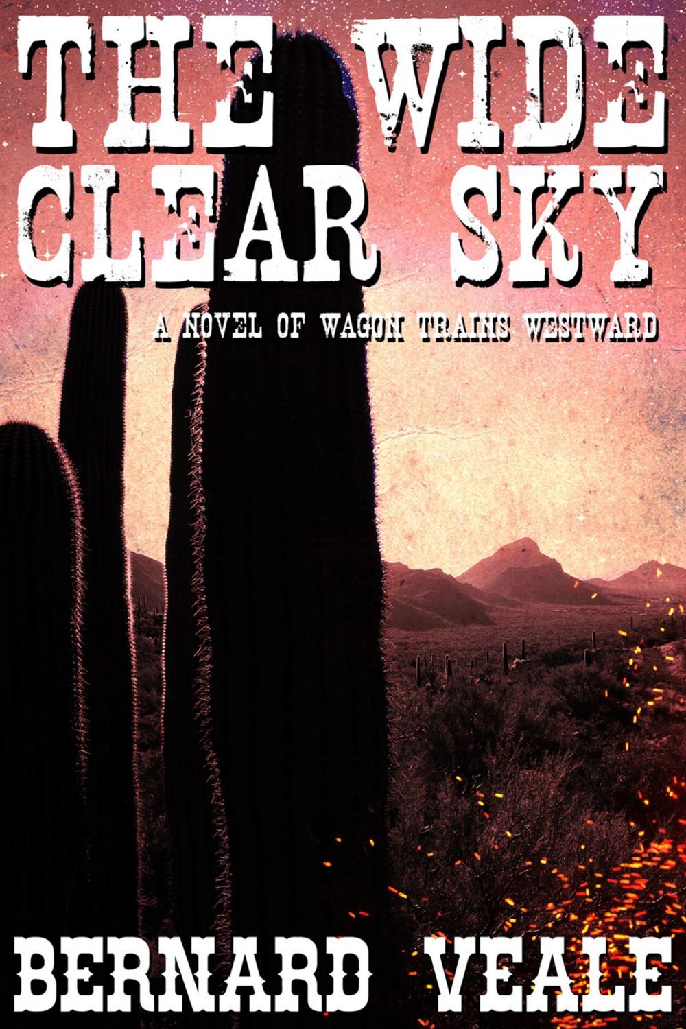 Big bigCover of The Wide Clear Sky