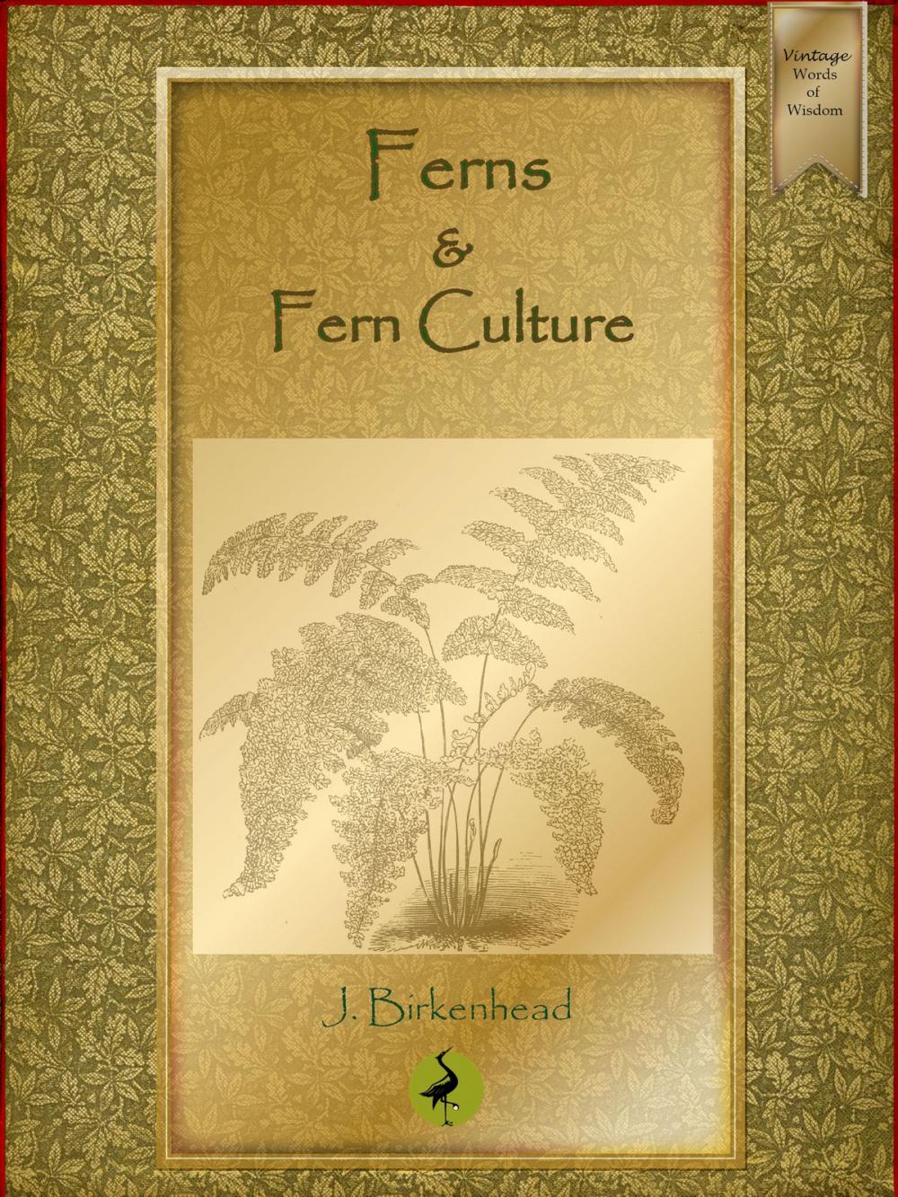 Big bigCover of Ferns and Fern Culture