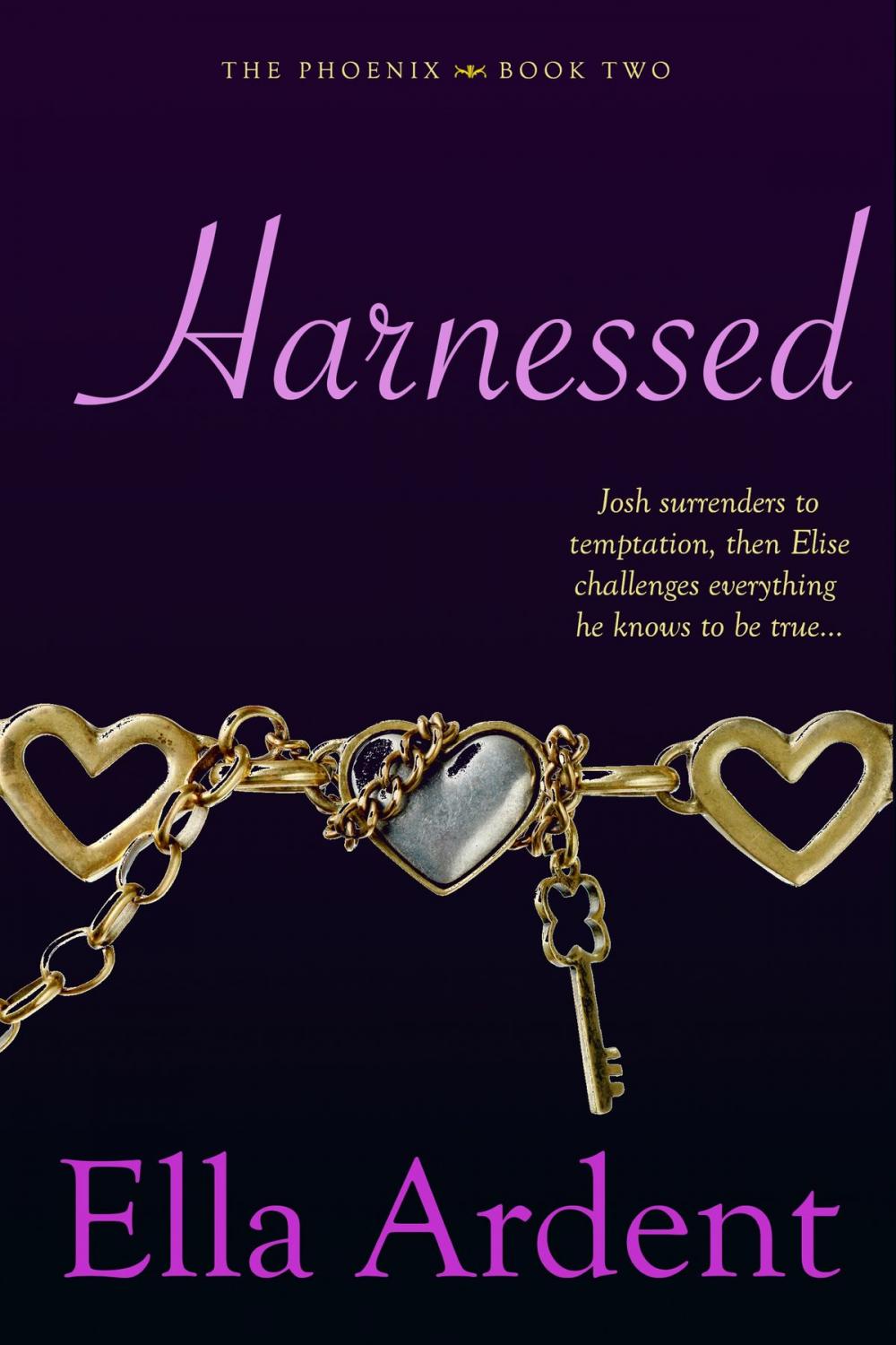 Big bigCover of Harnessed