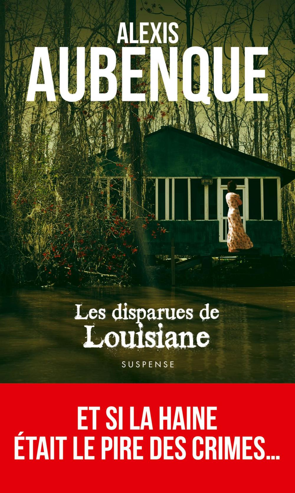 Big bigCover of Les Disparues de Louisiane