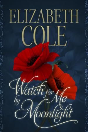 bigCover of the book Watch For Me By Moonlight by 