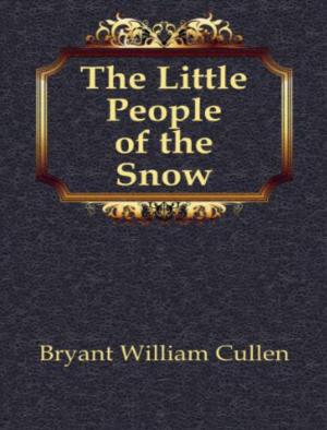 Book cover of The Little People of the Snow