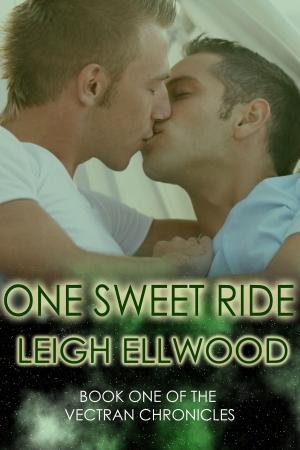 Cover of the book One Sweet Ride by JT Whitehall