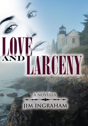 Cover of the book Love and Larceny by Don Ship