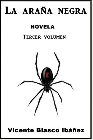 Book cover of La arana negra 3
