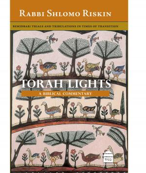 bigCover of the book Torah Lights: BeMidbar by 