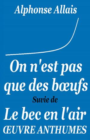 Cover of the book On n’est pas que des bœufs by Christopher WunderLee