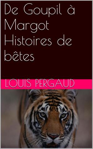 Cover of the book De Goupil à Margot Histoires de bêtes by PHILIPPE TAMIZEY DE LARROQUE