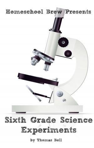 Cover of the book Sixth Grade Science Experiments by Terri Raymond, Greg Sherman, Thomas Bell