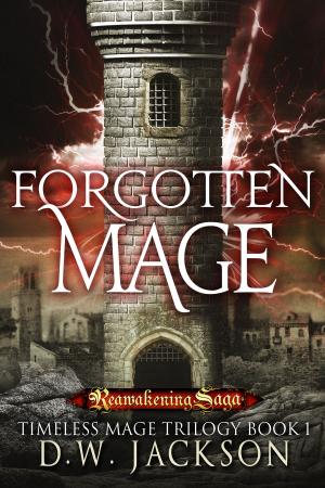 Cover of the book Forgotten Mage by Lee French