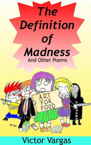 bigCover of the book The Definition of Madness by 