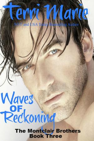 Cover of the book Waves of Reckoning by Kandi Silvers