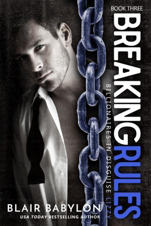 Cover of the book Breaking Rules by S. L. Danielson