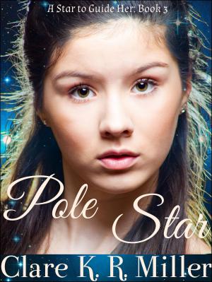 Cover of the book Pole Star by David Goeb