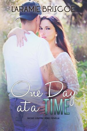 Cover of the book One Day at A Time by Laramie Briscoe