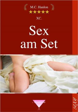 Cover of the book Sex am Set by Simone Beatrix