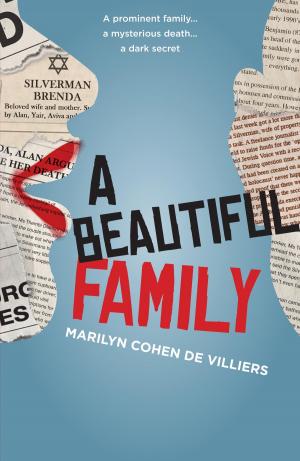 bigCover of the book A Beautiful Family by 