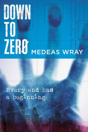 Cover of the book Down To Zero by Mike Gagnon