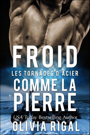 Book cover of Froid comme la pierre