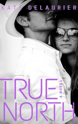 Cover of the book True North by Kim Cox