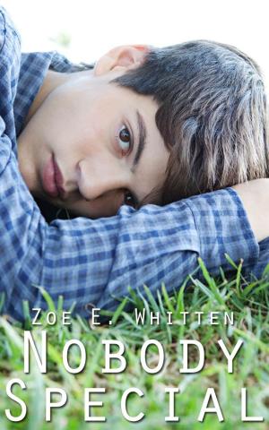 Cover of the book Nobody Special by Zoe E. Whitten