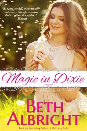 Book cover of Magic In Dixie