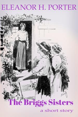 Cover of the book The Briggs Sisters by Claudia Botterweg, Ethel Herrick Stetson