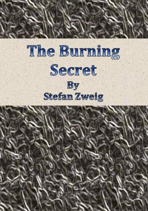 Cover of the book The Burning Secret by Jean-Jacques Rousseau