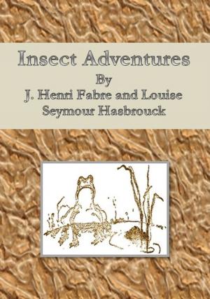 Book cover of Insect Adventures
