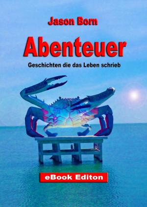 Cover of the book Abenteuer by Jason Born
