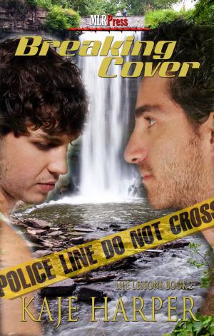 Cover of the book Breaking Cover by Megan Slayer